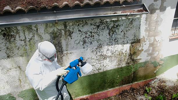 Trusted Commercial Mold Remediation service in Salisbury, MD - Cheap Mold Removal